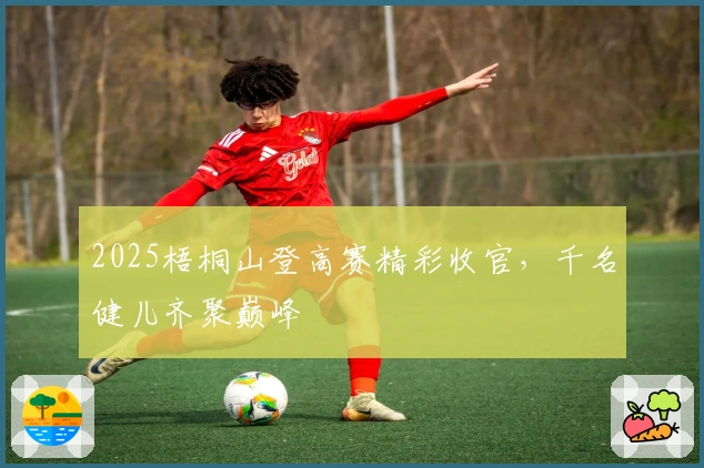 2025梧桐山登高赛精彩收官，千名健儿齐聚巅峰